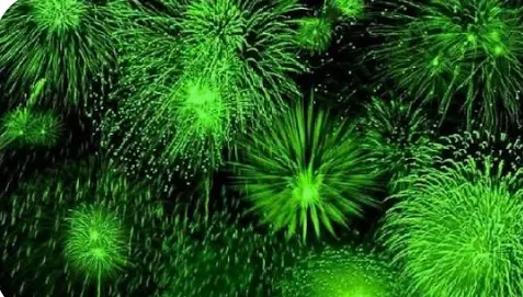 screenshot 2025 10 16 19 46 25 79 680d03679600f7af0b4c700c6b270fe7.jpg