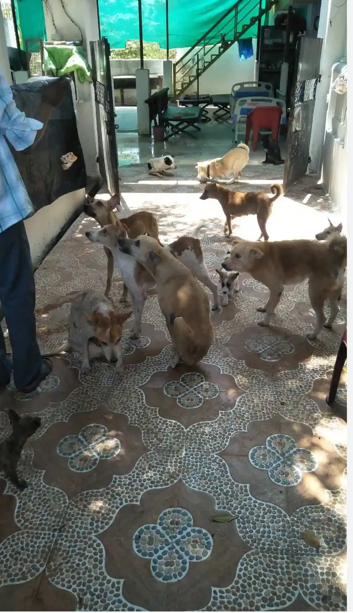 screenshot 2025 12 06 18 32 47 88 680d03679600f7af0b4c700c6b270fe7.jpg