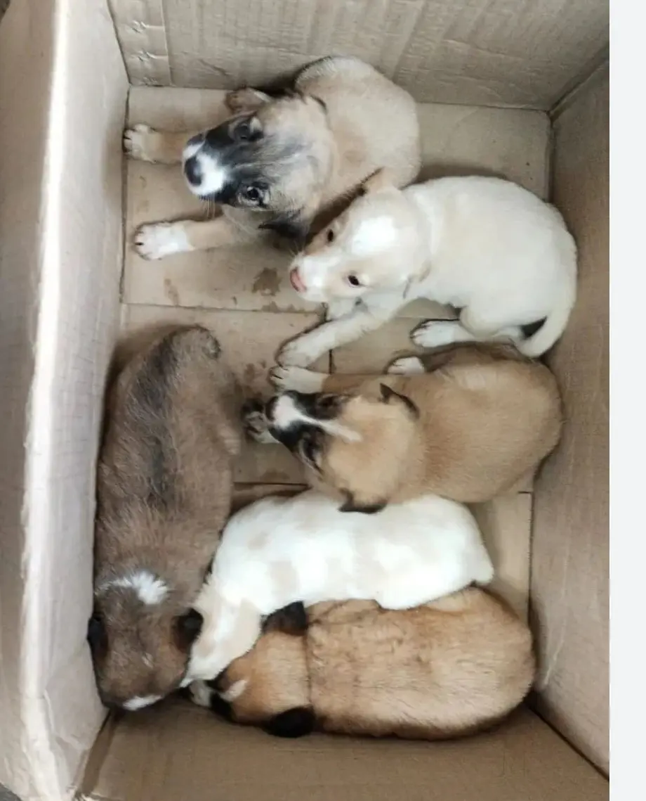 screenshot 2025 12 08 17 40 00 68 680d03679600f7af0b4c700c6b270fe7.jpg