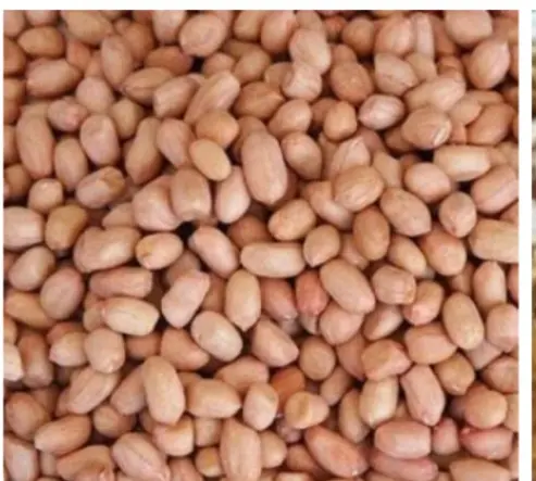 screenshot 2026 01 31 18 18 31 75 965bbf4d18d205f782c6b8409c5773a4.jpg